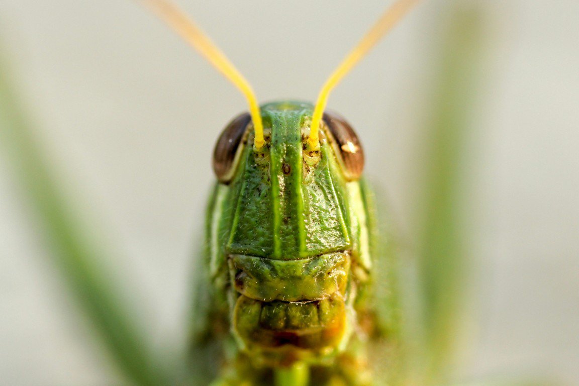 boris-smokrovic-EbMXBq_TXqM-unsplash (Moyen).jpg